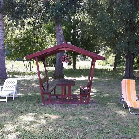 Tiszai Vándor