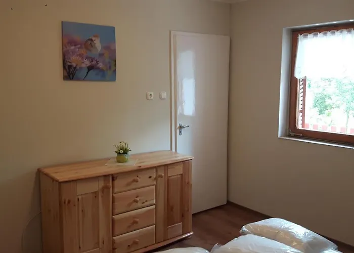 Tiszai Vandor Apartmanhaz Apartment *