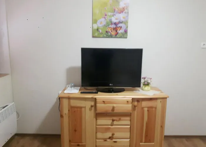 Tiszai Vandor Apartmanhaz